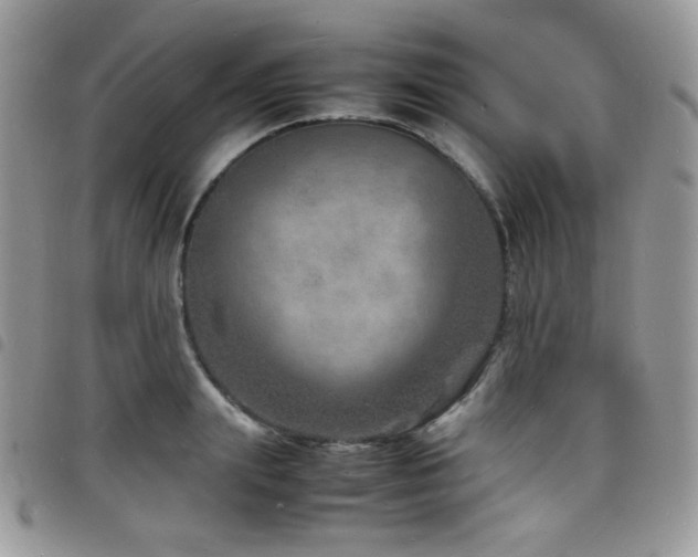 X0000098220847200804241342