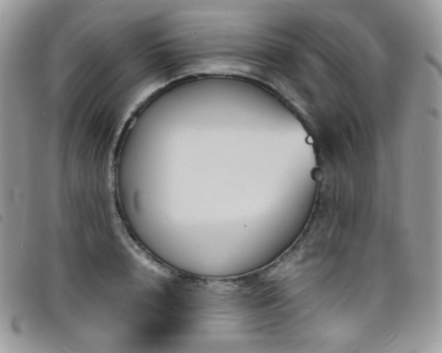 X0000098220848200804241342