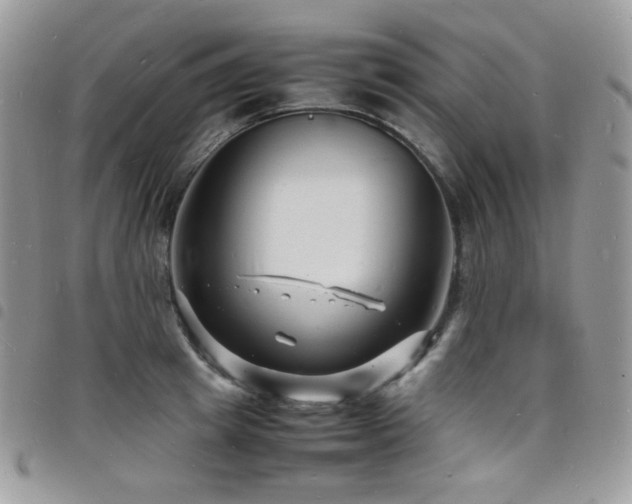 X0000098220849200804241342