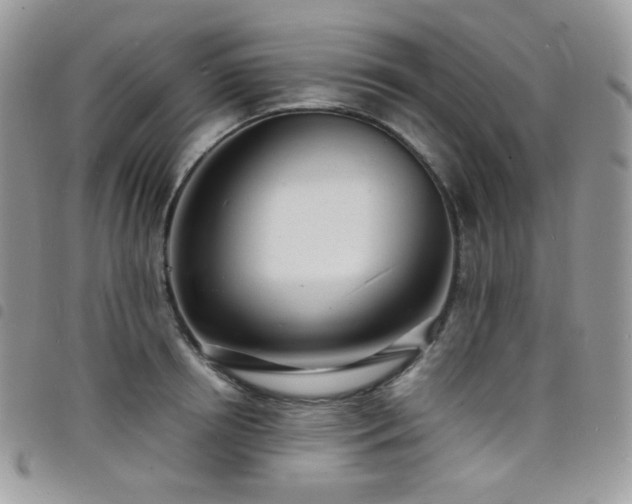 X0000098220850200804241342