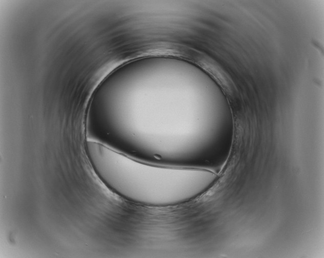 X0000098220852200804241342