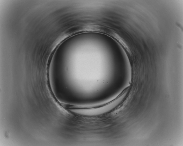 X0000098220853200804241342