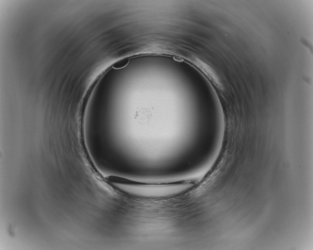 X0000098220854200804241342