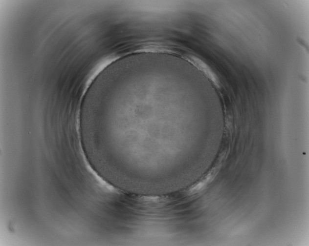 X0000098220855200804241342