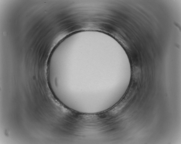 X0000098220856200804241342