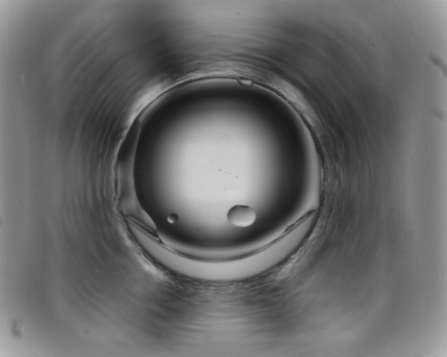 X0000098220858200804241342