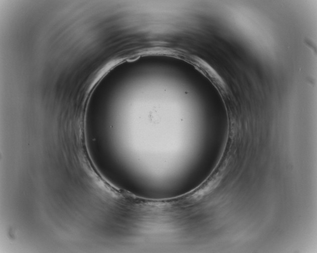X0000098220860200804241342