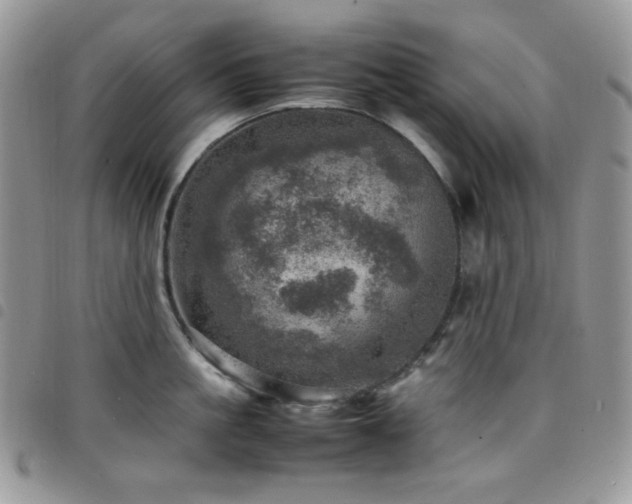 X0000098220861200804241342