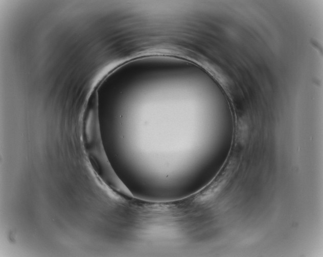 X0000098220862200804241342