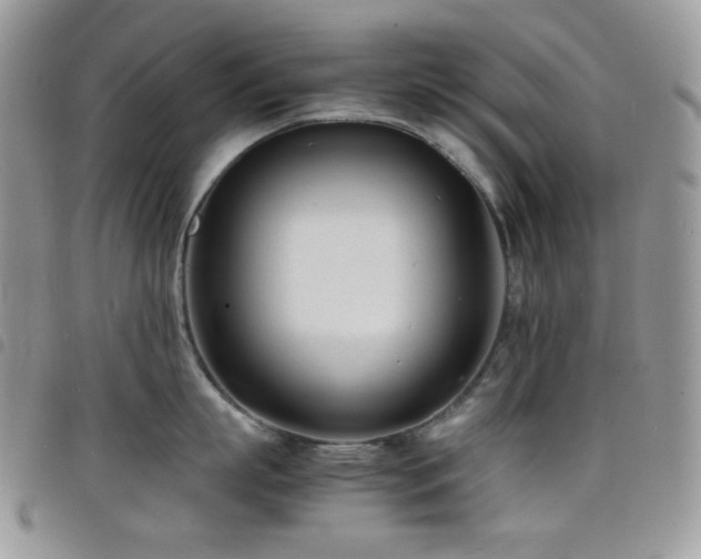 X0000098220863200804241342