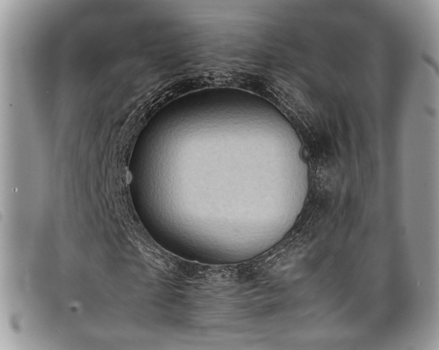 X0000098220865200804241341