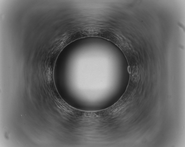 X0000098220866200804241341