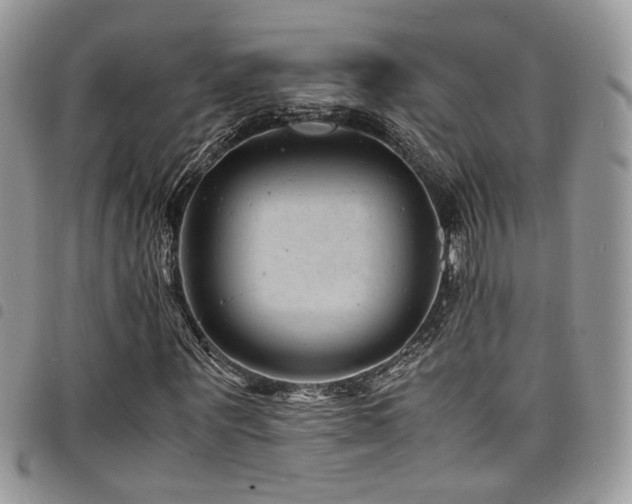 X0000098220867200804241341