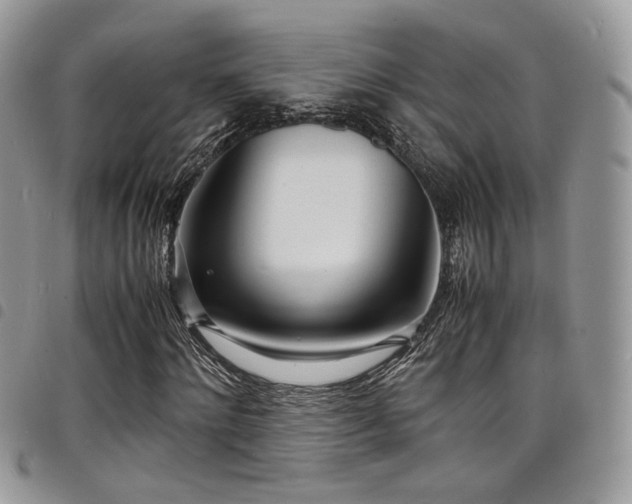 X0000098220868200804241341