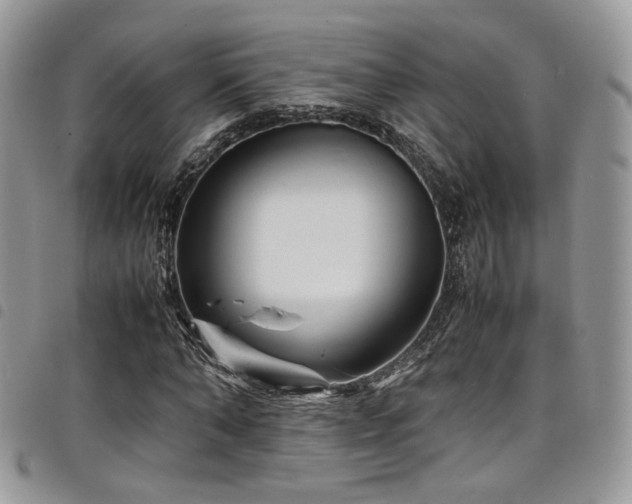 X0000098220870200804241341