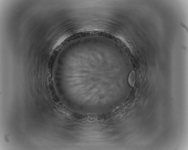 X0000098220871200804241341
