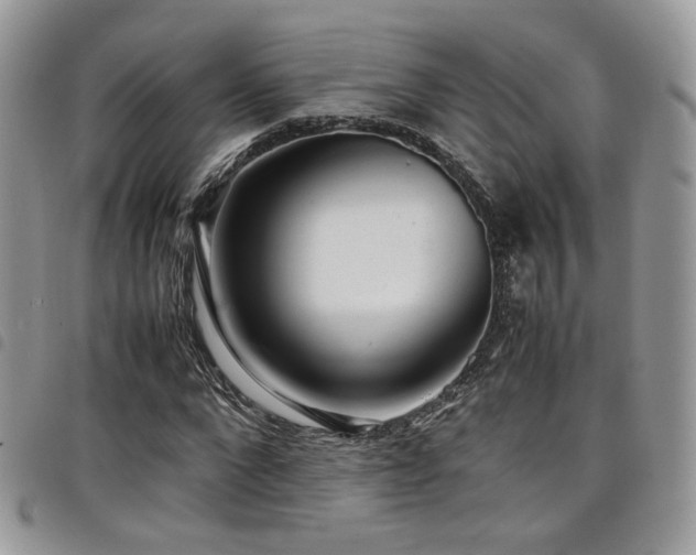 X0000098220872200804241341