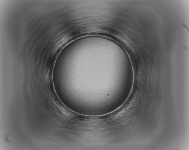 X0000098220873200804241341