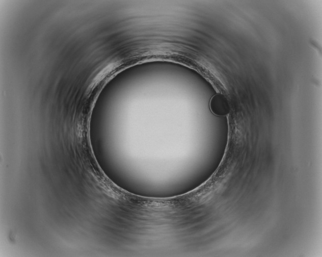 X0000098220874200804241341