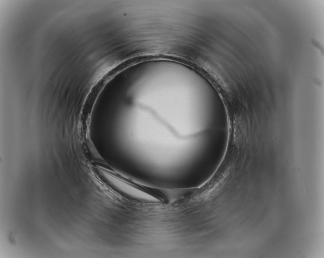 X0000098220876200804241341
