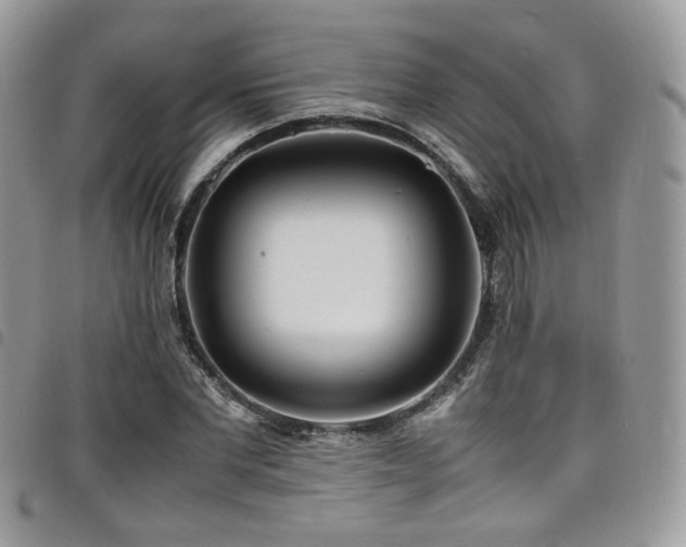 X0000098220877200804241341