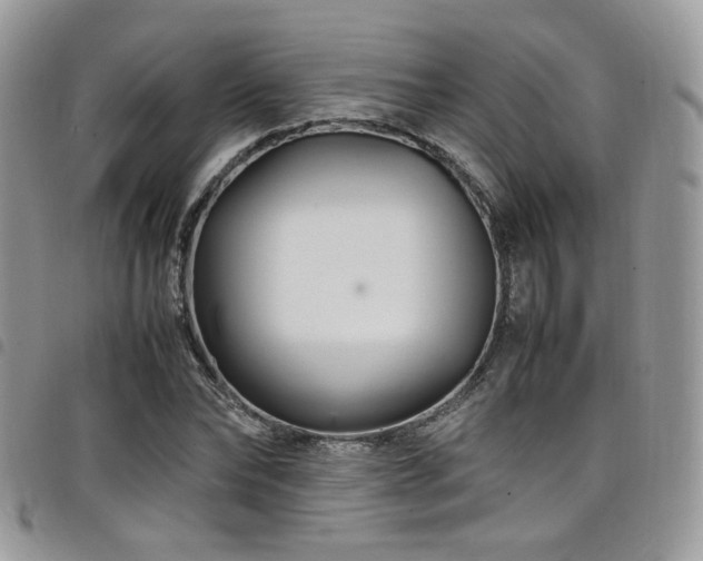 X0000098220878200804241341