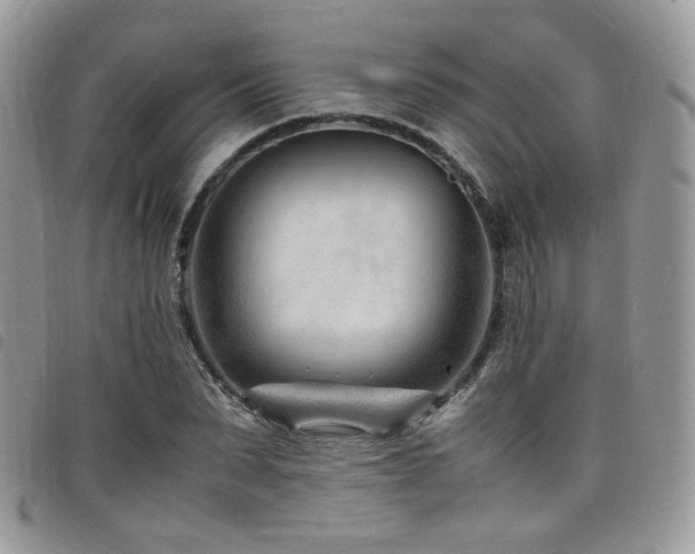 X0000098220879200804241341