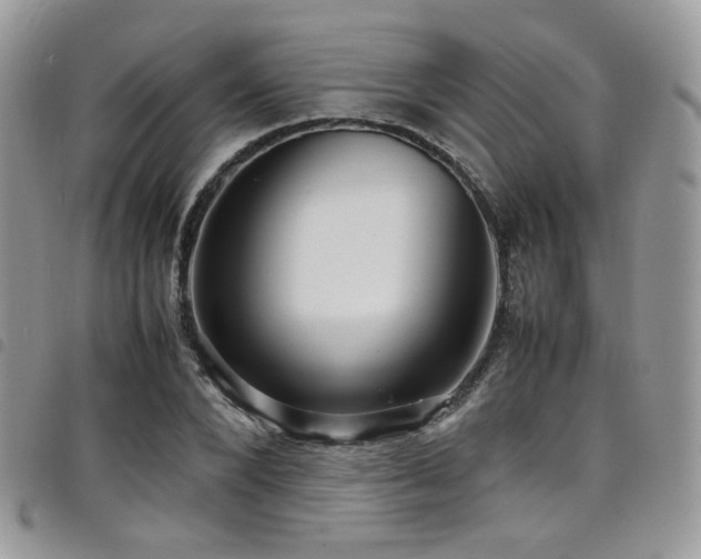 X0000098220880200804241341