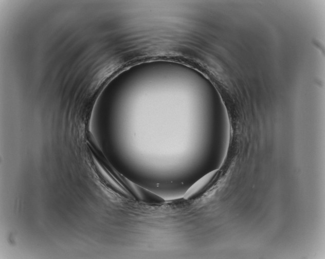 X0000098220881200804241341