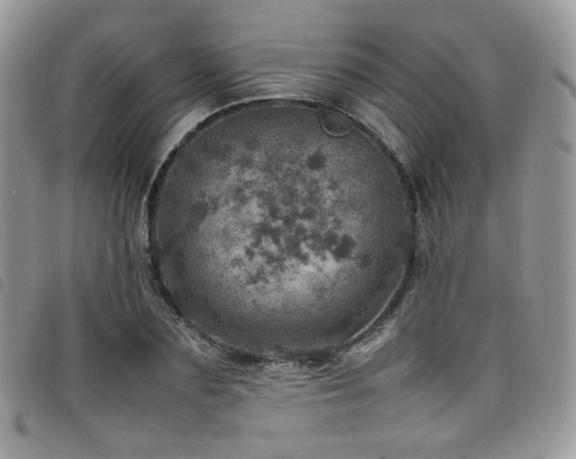 X0000098220883200804241341