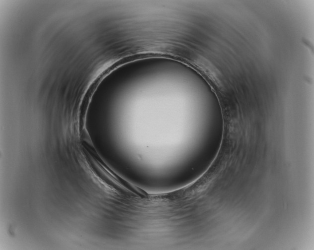 X0000098220884200804241341
