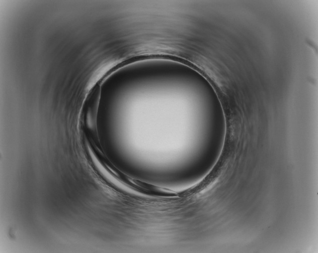 X0000098220885200804241341