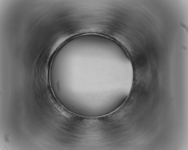 X0000098220886200804241341