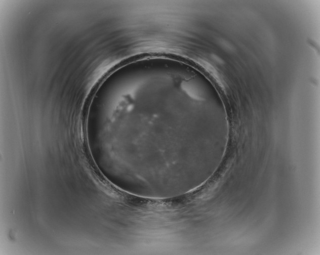 X0000098220887200804241341