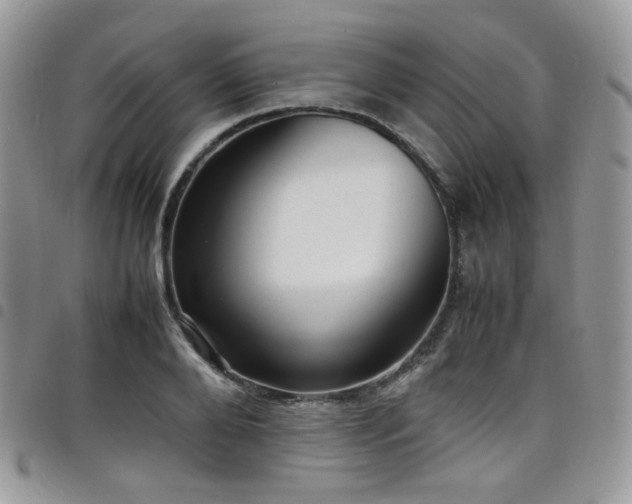X0000098220888200804241341