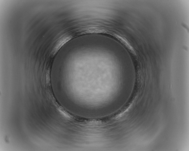 X0000098220889200804241341