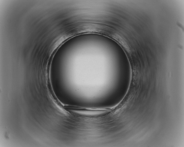 X0000098220890200804241341