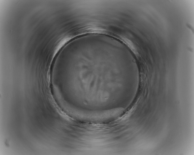 X0000098220891200804241341