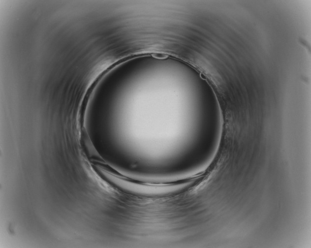 X0000098220892200804241341