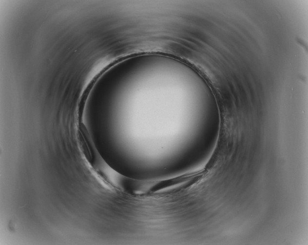 X0000098220894200804241341