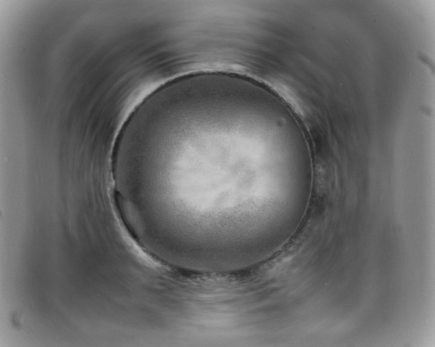 X0000098220895200804241341
