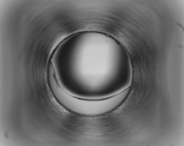X0000098220896200804241341
