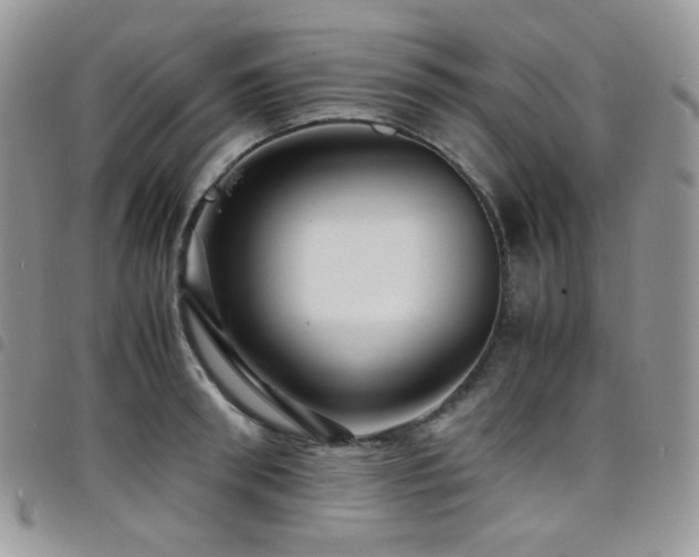 X0000098220898200804241341