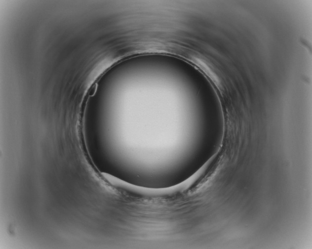 X0000098220901200804241341