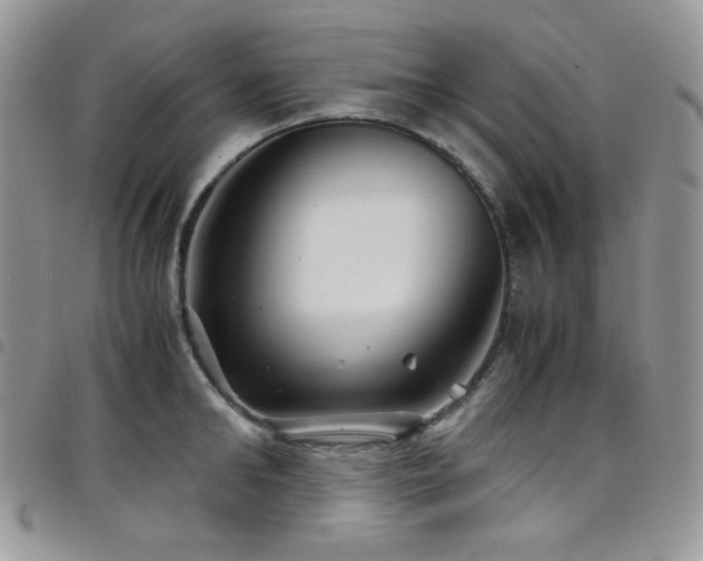X0000098220902200804241341