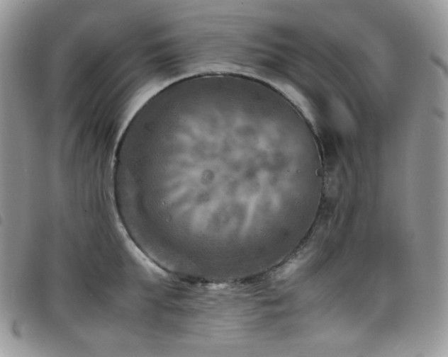 X0000098220903200804241341