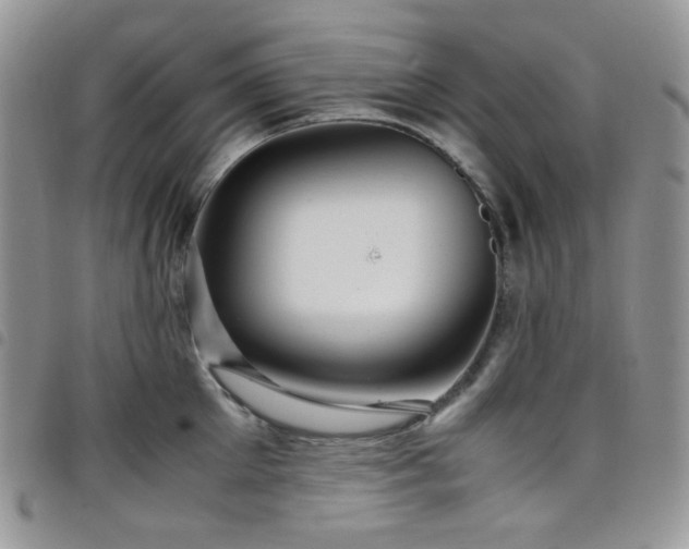 X0000098220905200804241341