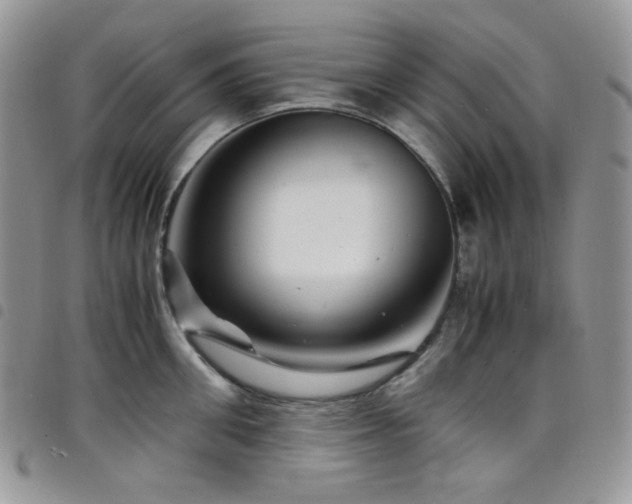 X0000098220906200804241341