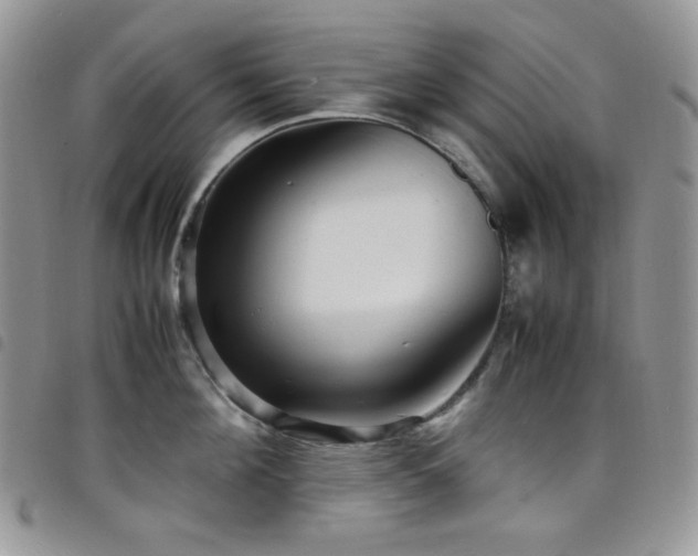 X0000098220908200804241341