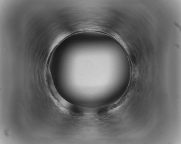 X0000098220909200804241341